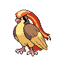 Sprite for Pidgeot
