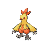 Sprite for Combusken